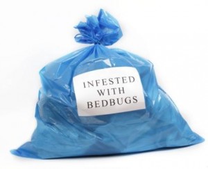 bagged bed bugs web